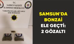Samsun’da bonzai ele geçti: 2 gözaltı