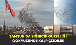 Samsun'da Sığırcık güzelliği: Gökyüzünde kalp çizdiler