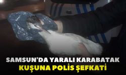 Samsun'da Yaralı Karabatak Kuşuna Polis Şefkati