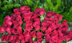 Sevgililer Günü'nde her 4 çiçekten üçü internet üzerinden alınıyor