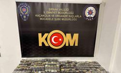 Şırnak’ta kaçakçılık ve asayiş operasyonu: 74 gözaltı