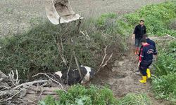Su kanalına düşen inek, itfaiye ekipleri tarafından kurtarıldı