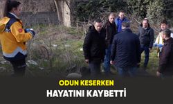 Edirne’de odun keserken hayatını kaybetti