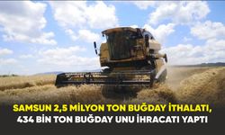 Samsun 2,5 milyon ton buğday ithalatı, 434 bin ton buğday unu ihracatı yaptı