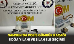 Samsun’da polis gümrük kaçağı boğa yılanı ve silah ele geçirdi