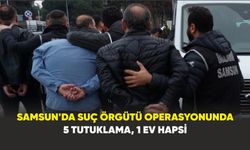 Samsun’da suç örgütü operasyonunda 5 tutuklama, 1 ev hapsi