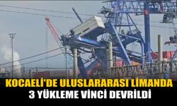 Kocaeli’de uluslararası limanda 3 yükleme vinci devrildi