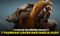 Samsun’da köpek dehşeti: 7 yaşındaki çocuk hastanelik oldu