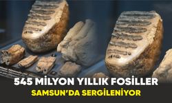 545 milyon yıllık fosiller Samsun’da sergileniyor