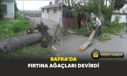 Bafra’da fırtına ağaçları devirdi