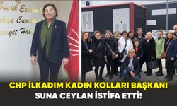 CHP İlkadım'da şok istifa