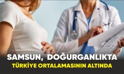 Samsun, hanehalkı ve doğurganlıkta Türkiye ortalamasının altında