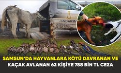 Samsun'da hayvanlara kötü davranan ve kaçak avlanan 62 kişiye 788 bin TL ceza