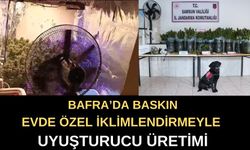Bafra'da Jandarmadan Baskın: Özel İklimlendirme Sistemiyle Uyuşturucu Üretimi