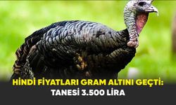 Hindi fiyatları gram altını geçti: Tanesi 3.500 Lira