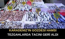Karadeniz’in Gözdesi Hamsi Tezgahlarda Tacını Geri Aldı