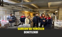 Samsun'da yemciler denetlendi