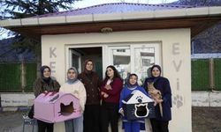 Gümüşhane’de Öğrencilerden Kedilere Sıcak Yuva Projesi