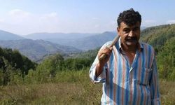 Bartın’da Orman İşçisi Kestiği Ağacın Altında Kalarak Hayatını Kaybetti