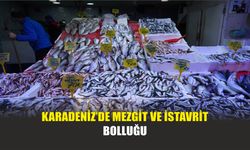 Karadeniz’de Mezgit ve İstavrit Bolluğu