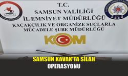 Samsun Kavak'ta Silah Operasyonu