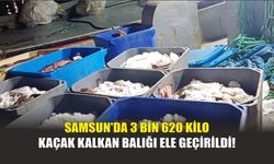 Samsun'da 3 Bin 620 Kilo Kaçak Kalkan Balığı Ele Geçirildi!