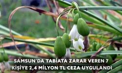 Samsun’da Tabiata Zarar Veren 7 Kişiye 2,4 Milyon TL Ceza Uygulandı
