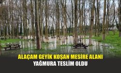 Alaçam Geyik Koşan Mesire Alanı Yağmura Teslim Oldu