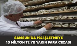 Samsun’da Gıda Denetimlerinde Milyonluk Cezalar