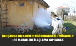 Çarşamba’da Kahverengi Kokarca ile Mücadele: 130 Mahallede İlaçlama Yapılacak