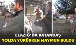 Elazığ’da vatandaş yolda yürürken maymun buldu