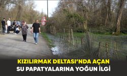Kızılırmak Deltası’nda açan su papatyalarına yoğun ilgi