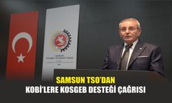 Samsun TSO’dan KOBİ’lere KOSGEB Desteği Çağrısı