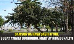 Samsun’da Hava Şaşırtıyor: Şubat Ayında Dondurdu, Mart Ayında Bunalttı