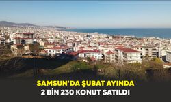 Samsun’da şubat ayında 2 bin 230 konut satıldı