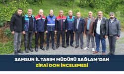 Samsun İl Tarım Müdürü Sağlam’dan Zirai Don İncelemesi