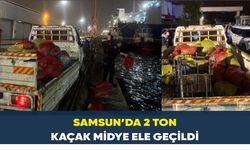 Samsun’da 2 ton kaçak midye ele geçildi