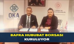 Bafra Hububat Borsası Kuruluyor