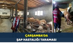 Çarşamba’da şap hastalığı taraması
