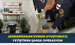 Jandarmadan evinde uyuşturucu yetiştiren şahsa operasyon