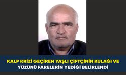 Kesik kulak olayında katil fareler çıktı