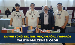 Koyun yünü, keçi kılı ve çam ağacı yaprağı yalıtım malzemesi oldu