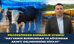 Profesörden kurbanlık uyarısı: "Hayvanın burnundan ve ağızından akıntı gelmemesine dikkat''
