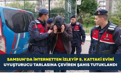 Samsun’da internetten izleyip 5. kattaki evini uyuşturucu tarlasına çeviren şahıs tutuklandı