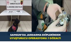 Samsun’da jandarma ekiplerinden uyuşturucu operasyonu: 1 gözaltı