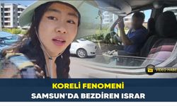 Koreli fenomeni Samsun’da bezdiren ısrar