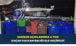 Samsun açıklarında 6 ton kaçak kalkan balığı ele geçirildi