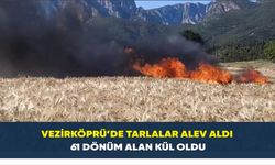 Vezirköprü’de tarlalar alev aldı: 61 dönüm alan kül oldu