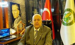 Samsun’da fındık rekoltesi tahmini 91 bin 456 ton