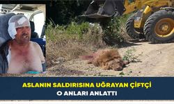Aslanın saldırısına uğrayan çiftçi o anları anlattı